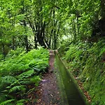 Casa Afonso Na Madeira 別荘