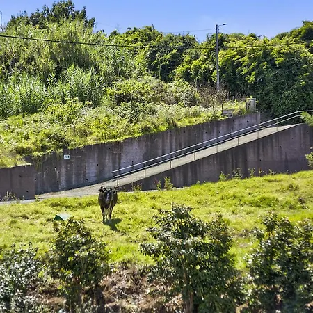 Ferienhaus Casa Afonso Na Madeira São Jorge