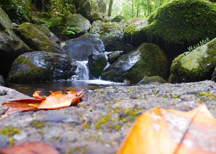 Casa Afonso Na Madeira Casa de Férias *