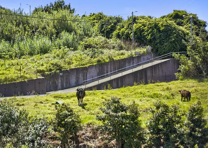 Casa de Férias Casa Afonso Na Madeira São Jorge